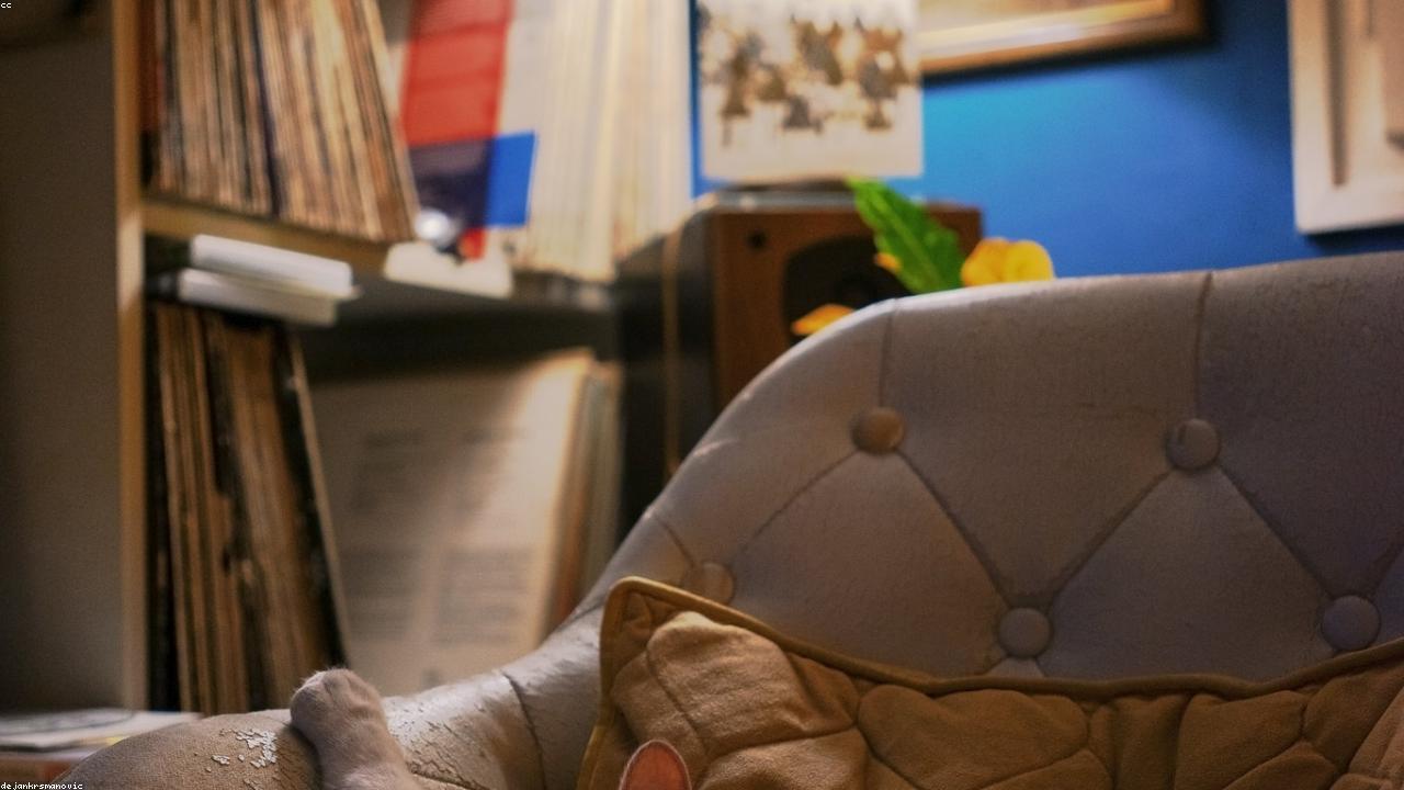 无主灯设计 | 告别单一照明困局,从智能场景到健康光环境的未来趋势深度解析