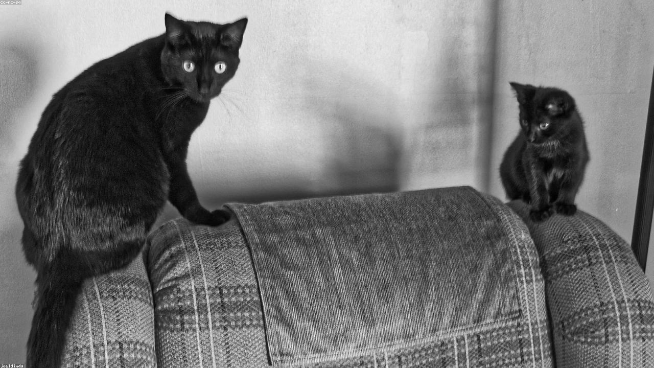 无主灯设计：告别单一照明，以光影重塑空间情绪与价值的未来家居趋势解析