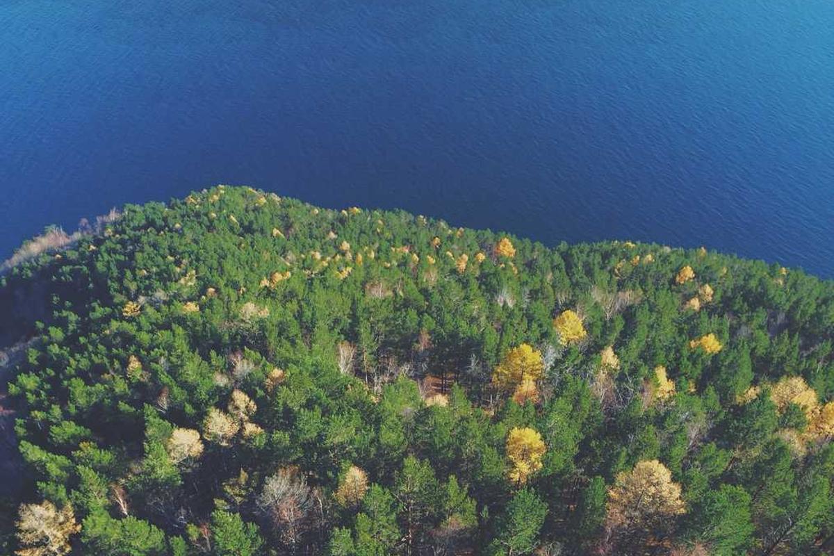 2024读写作业台灯推荐终极指南：5款热门技术横评，教你避开伤眼陷阱！