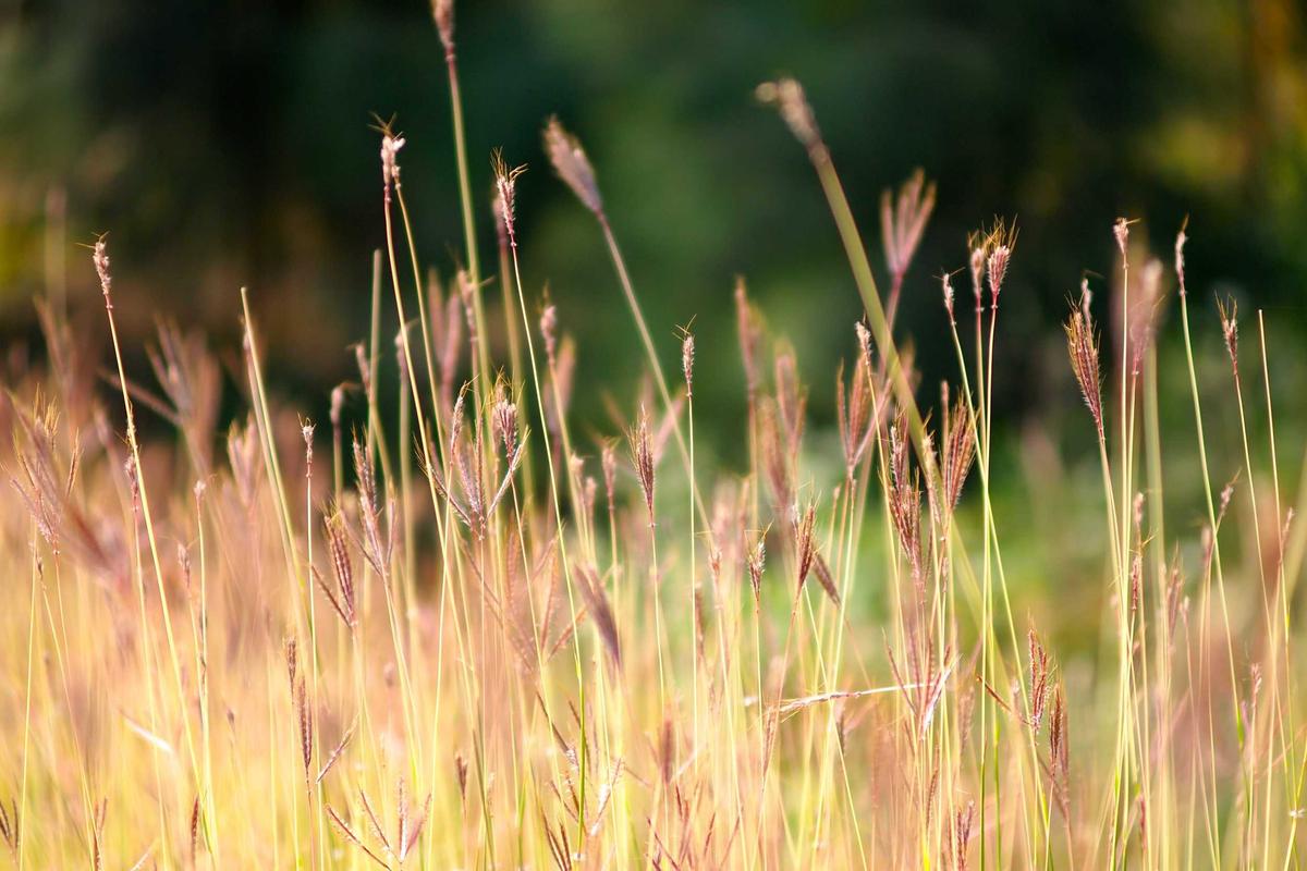 一文揭秘CSP芯片级封装详解：5大核心疑问深度拆解